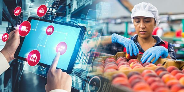 Maximising Efficiency Management Software for Food Service Industry in the Philippines